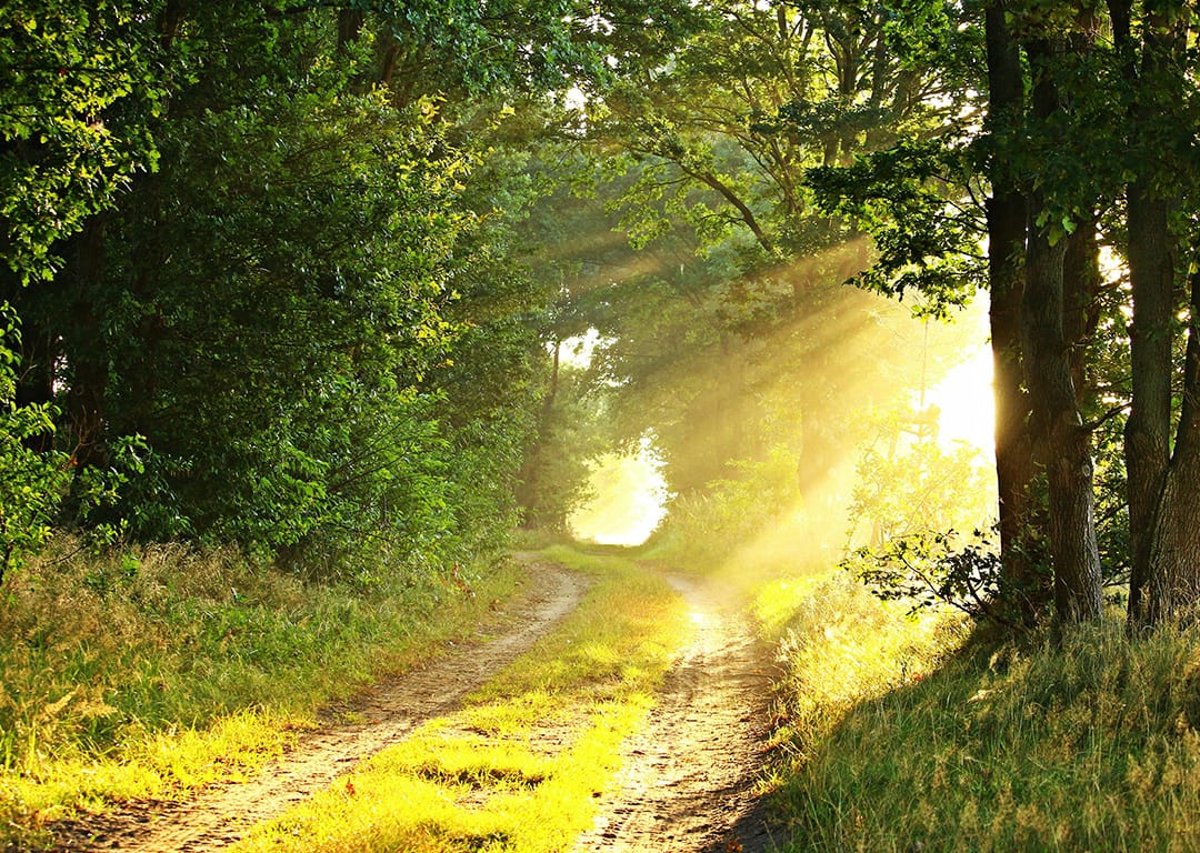 Soul Song Sessions & More