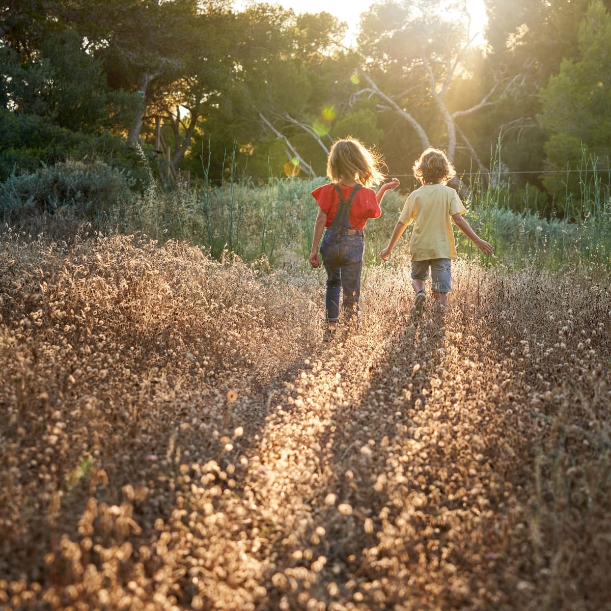 Ferns  & Fawns: Family Connection and Adventure