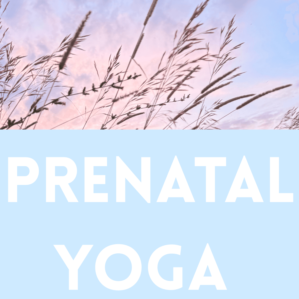 Prenatal Yoga